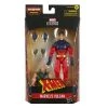 Marvel Legends Series Marvels Vulcan Action Figure 1 Marvel Legends Series Marvels Vulcan Action Figure -Collectible Figures Sales Store unnamed file 1569