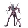 NECA Alien vs. Predator (Arcade Appearance) Razor Claws Alien 7" Action Figure -Collectible Figures Sales Store unnamed file 352