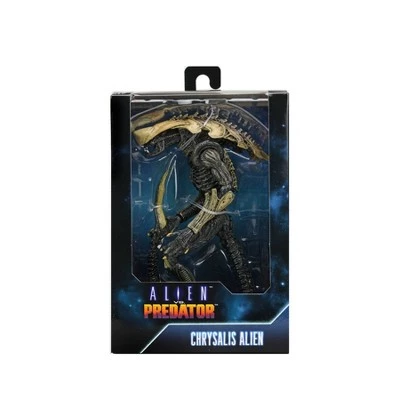 NECA Alien vs Predator - 7" Scale Action Figure - Chrysalis Alien (Movie Deco) 4 NECA Alien vs Predator - 7" Scale Action Figure - Chrysalis Alien (Movie Deco) - Image 2