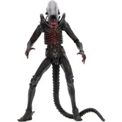Neca Alien 40th Anniversary 7 Inch Action Figure | Alien (Bloody) -Collectible Figures Sales Store unnamed file 900